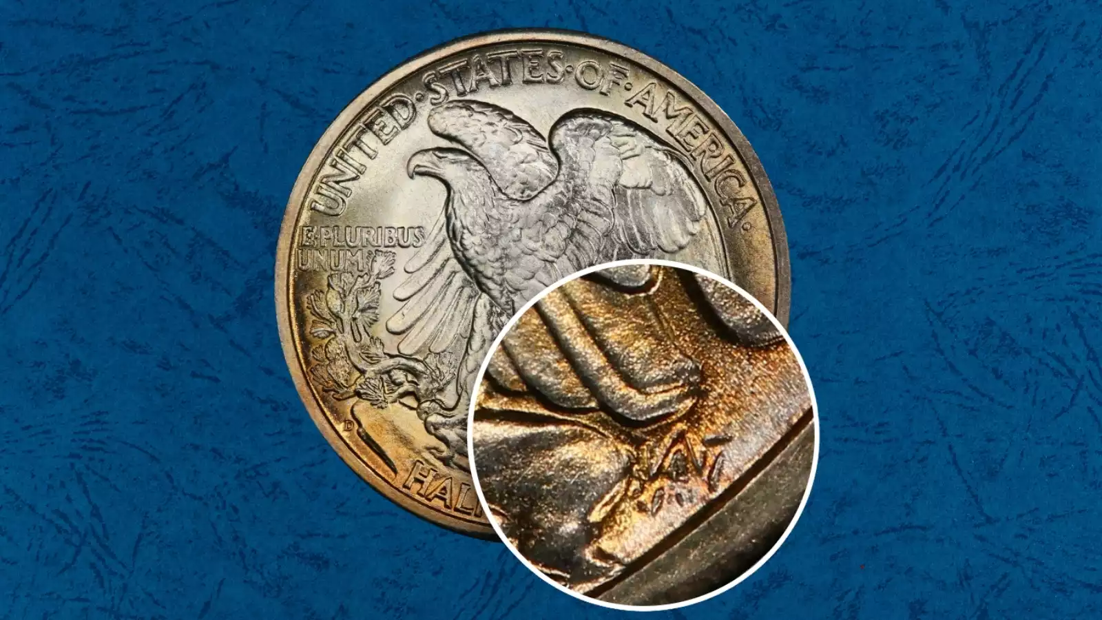 Close-up of 1944 Walking Liberty half dollar reverse below the eagle's right wingtip showing the smooth area where AW designer initials are absent