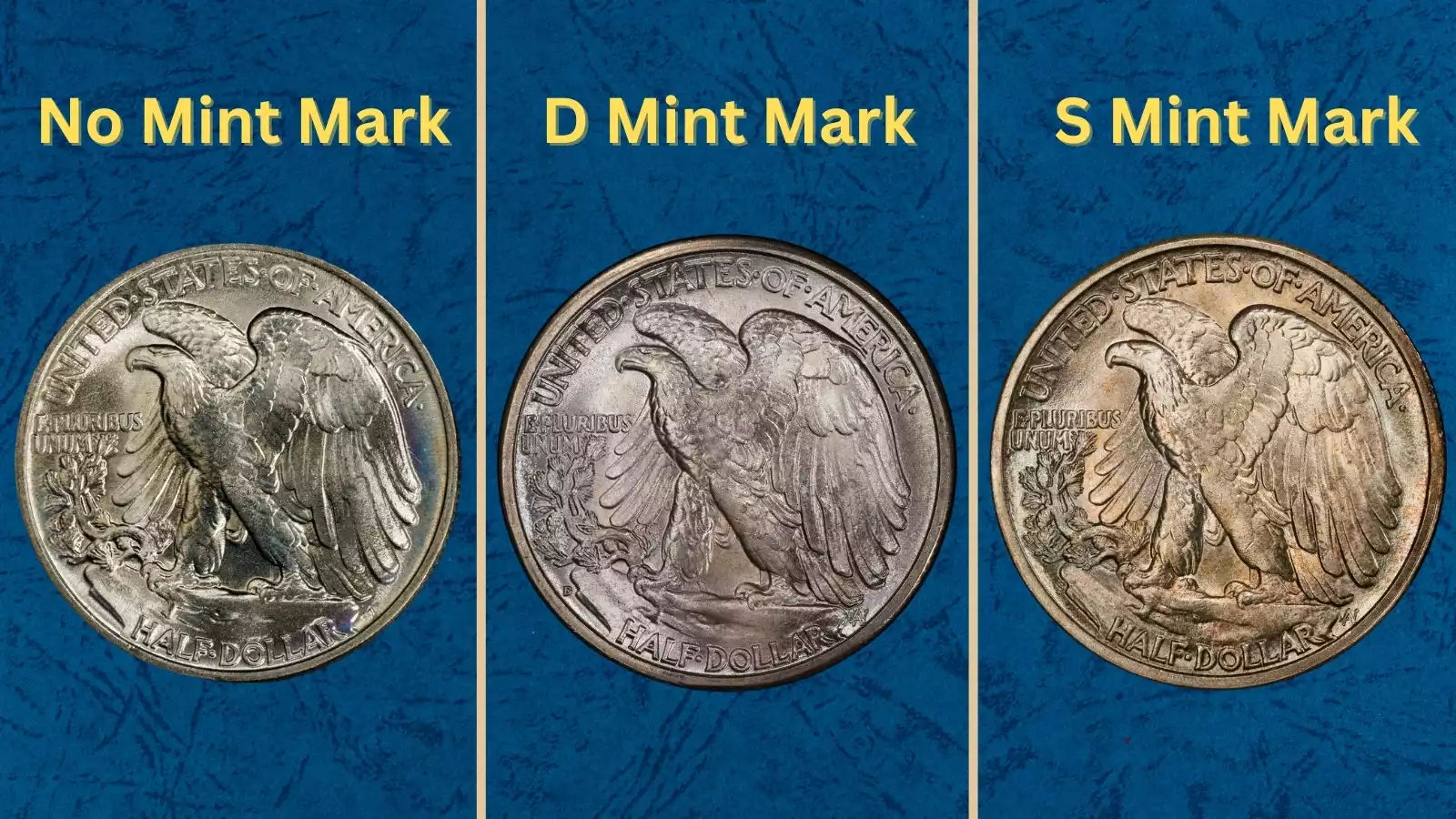 Group shot of all three 1944 Walking Liberty half dollar varieties showing Philadelphia no-mark, Denver D, and San Francisco S mint marks on the reverse